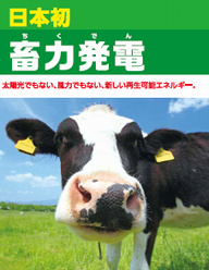 日本初バイオマス発電