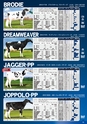 DAIRY GENETIC DIRECTORY