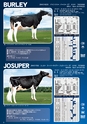 DAIRY GENETIC DIRECTORY