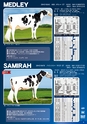 DAIRY GENETIC DIRECTORY