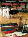：Preparing dairy cattle for show