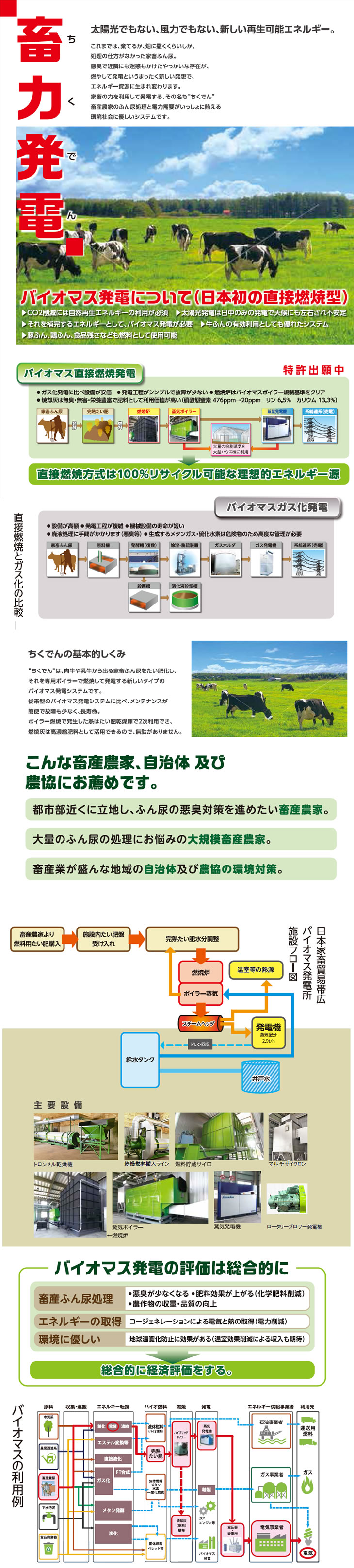 バイオマス発電システム