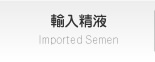 輸入精液