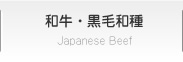 和牛・黒毛和種