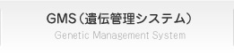 GMS（遺伝管理システム）