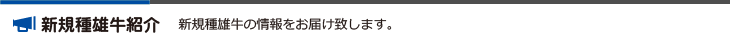 新規種雄牛の情報をお届け致します。