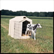 カーフテル(Calf-tel)
