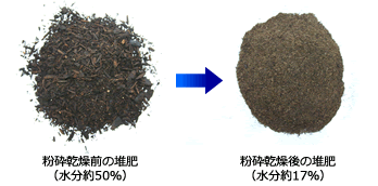 粉砕乾燥後の堆肥 (水分約17%)
